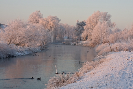 Winter in Zuid Oost-Brabant