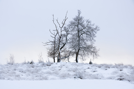 almost black and white