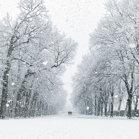 Winters landschap met veel sneeuw