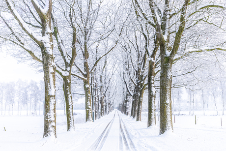 Winter in Oisterwijk
