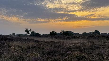 Zonsondergang op de Kampina heide