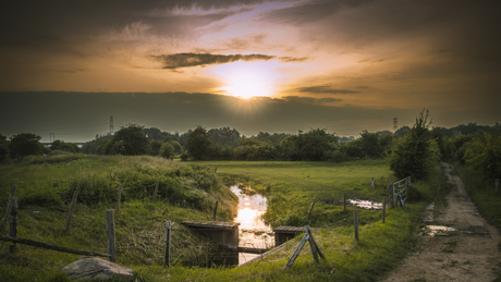 Golden hour bij Oosterbeek