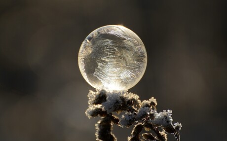 Op verzoek van Jeannet