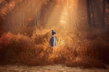 Een jongetje in de herfst