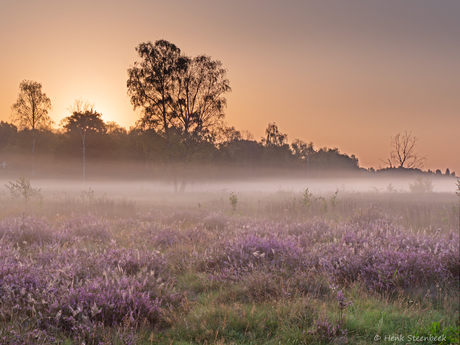 Zonsopkomst op de hei