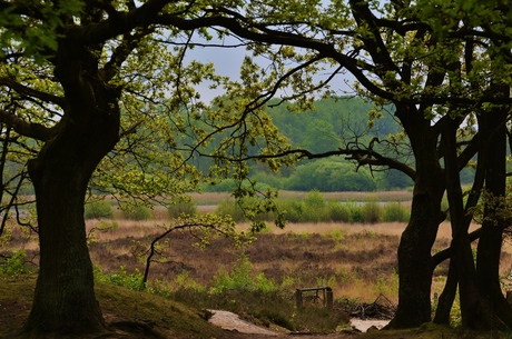 doorkijkje in de Maten