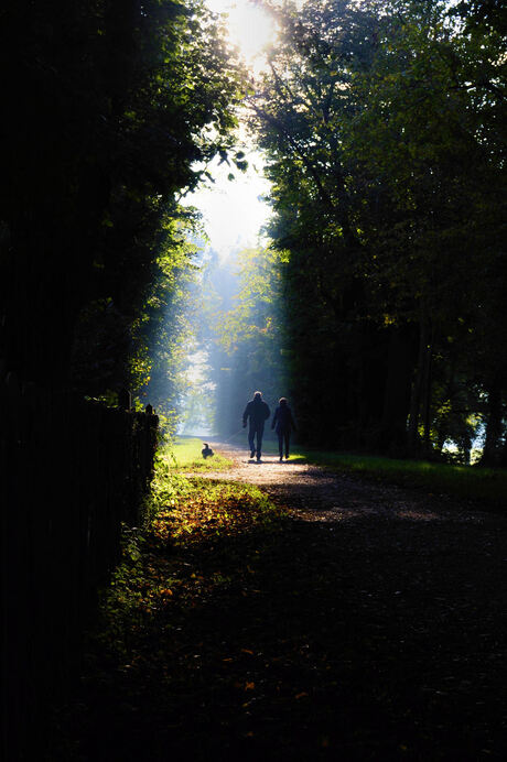 Autumn walk