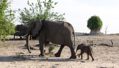 Moeder en kind Botswana