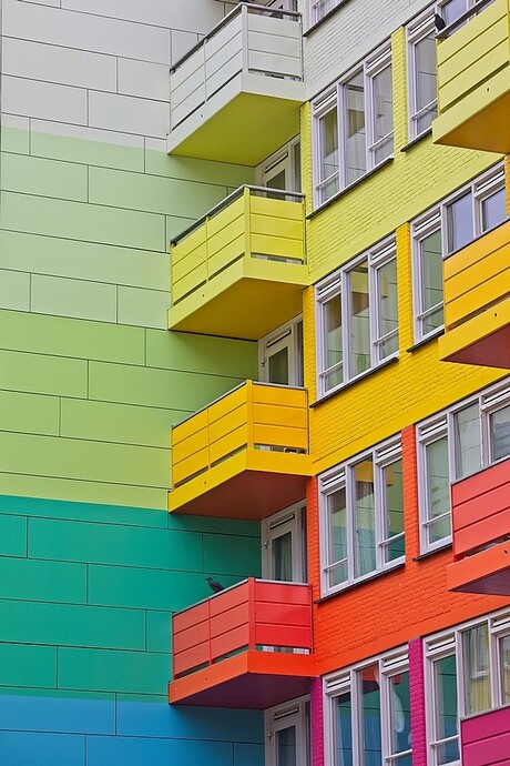 Kleurrijkste stad van Nederland