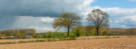 lente met wolken