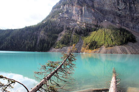 Lake Louise