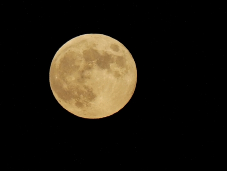 maan 6 juni 20:30 uur - foto van Gooiseroos - Natuur - Zoom.nl