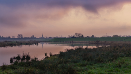 Blauwbekken langs de Lek