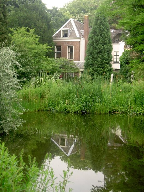 Spiegelbeeld: Botanische tuin Utrecht