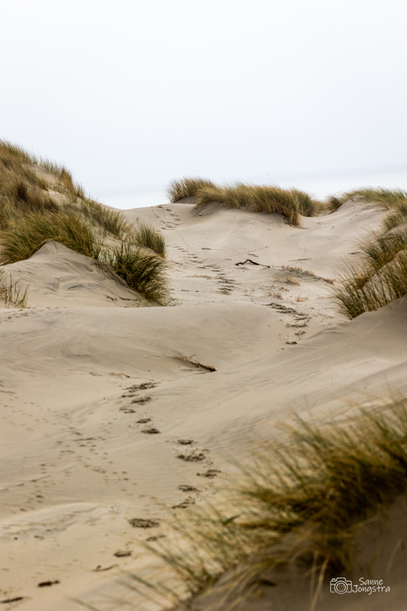 Door de duinen