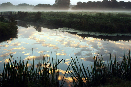 Goedemorgen.