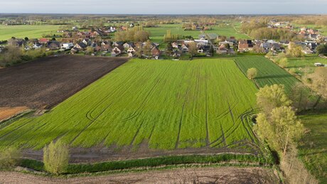 Tracks in the green field