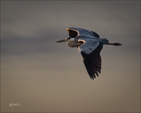 Flying high