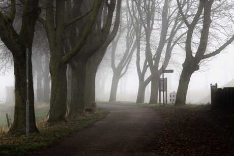 De natuur in stille lockdown