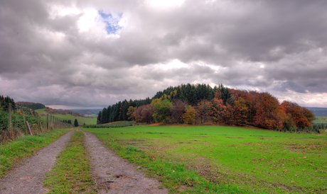 Sauerland-herfst-1.jpg