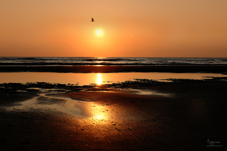 Zandvoort
