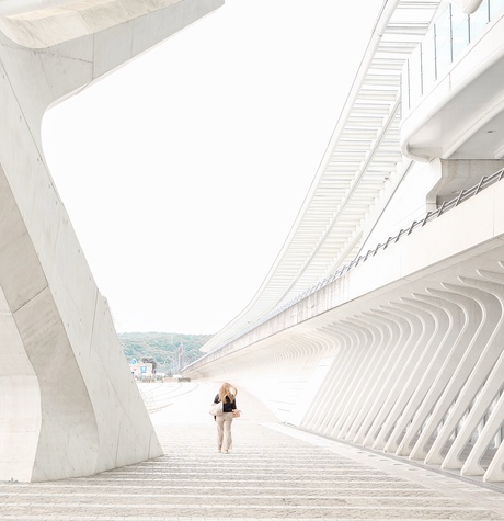 Station Luik-Guillemins