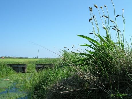 Boerensloot