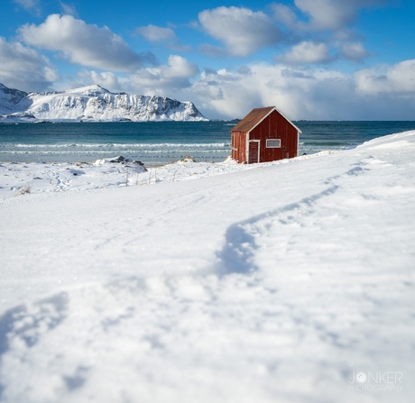 Little red house