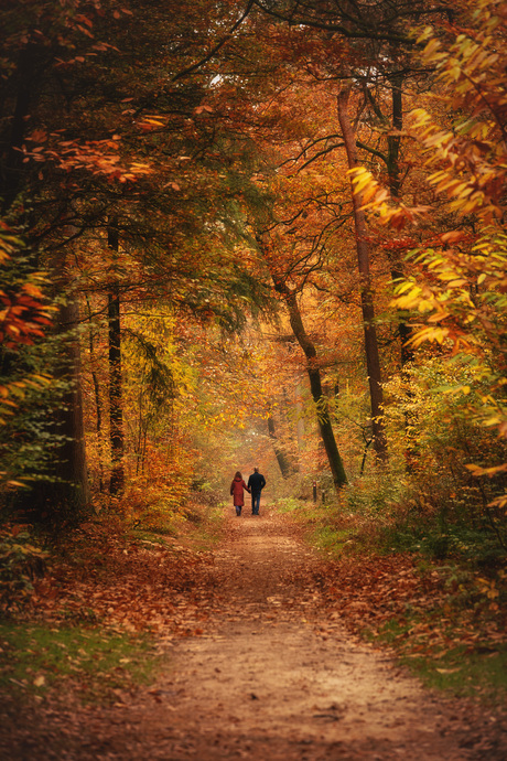 Heerlijke herfstwandeling