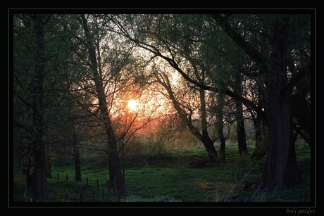 Ooijpolder bij zonsondergang