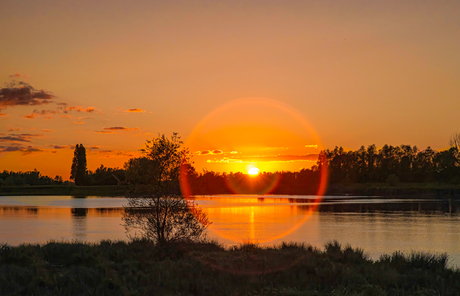 Biesbosch zonsondergang