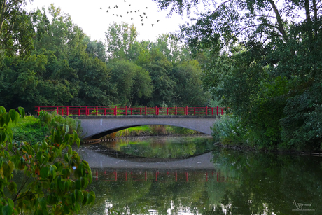 Brug