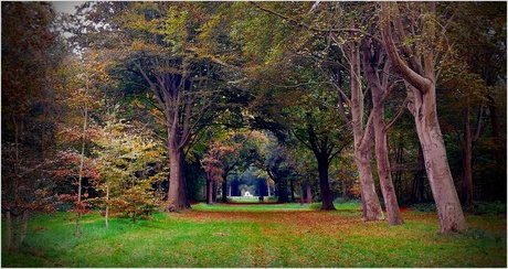 Herfst in het bos.......