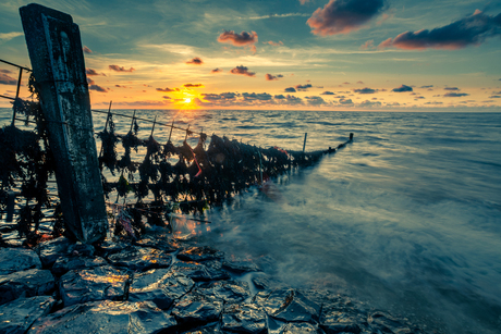 Hek in de Waddenzee