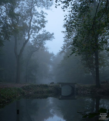 Misty bridge