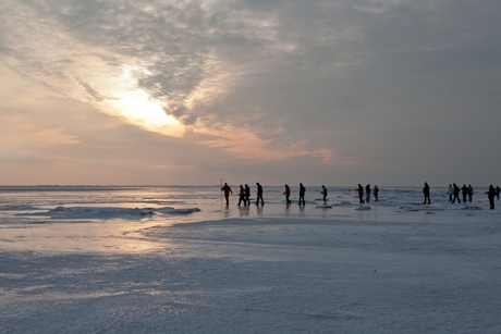 Wadlooptocht Noordpolderzijl 2012