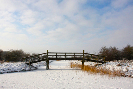 winterweer