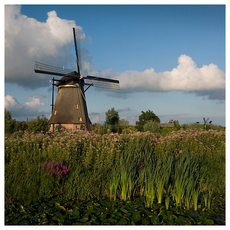 Molen Kinderdijk