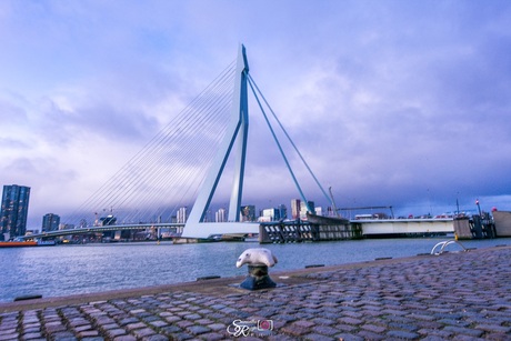 Rotterdam