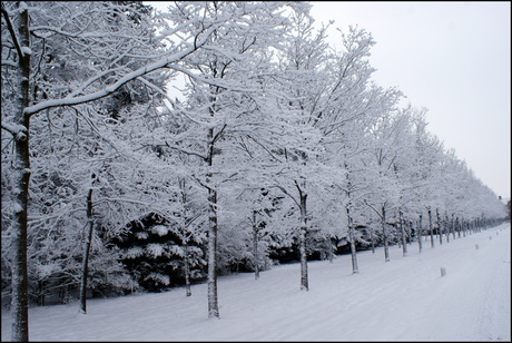 Winterlandschap.JPG
