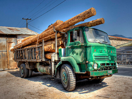 HDR foto vrachtwagen met boomstammen