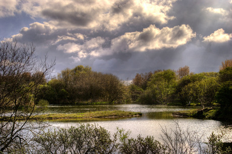 Meijendel HDR 10