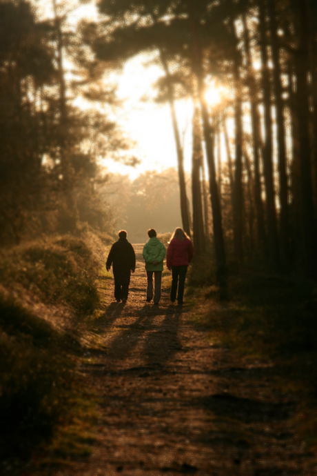 Drie generaties