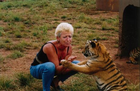 Cute Tiger Cub