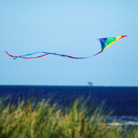 Zomer op Texel