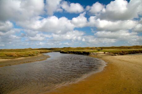 Texel