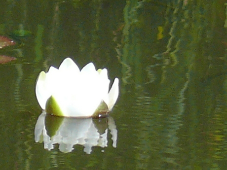 steenwijkkerland