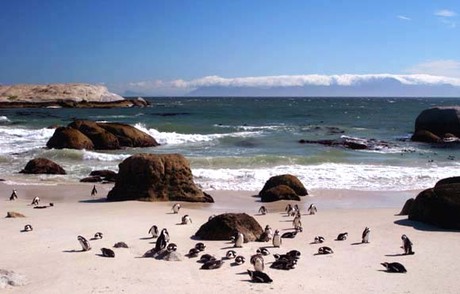 NIET MIJN FOTO!!! (2)