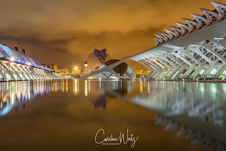 Ciudad de las Artes y Ciencias