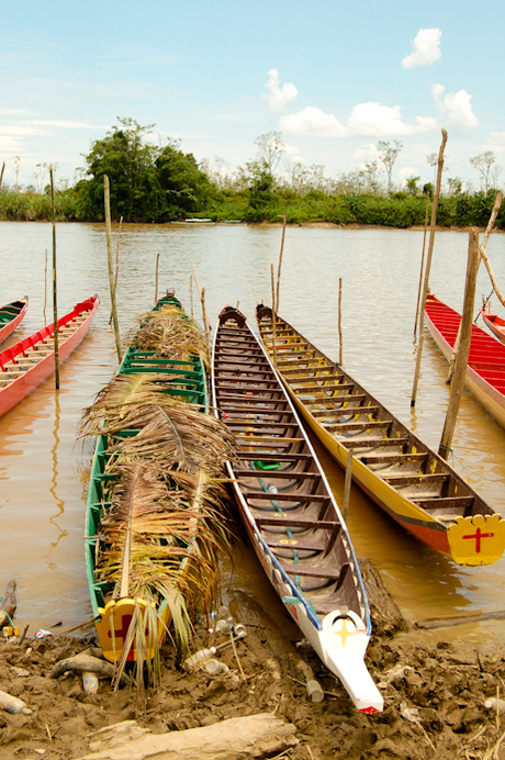 Malaysian boat races